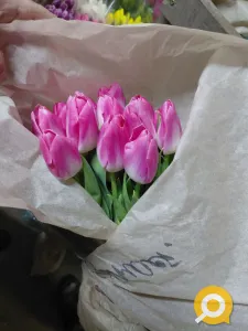 Тюльпаны свежие оптом. Доставка по ДНР, низкие цены