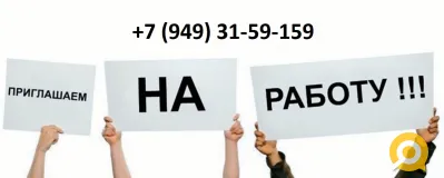 Сотрудники на линейные и офисные вакансии