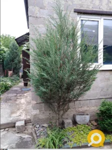 ВОДА КРУГЛОСУТОЧНО!!! Дом в Кировском р-не. ул. Приозерная. можно под дачу